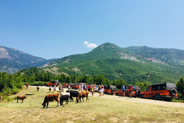 Additional Transfers